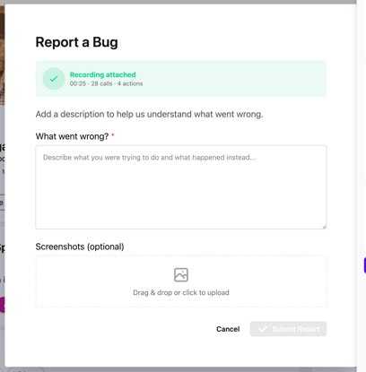 record a bug - step 4